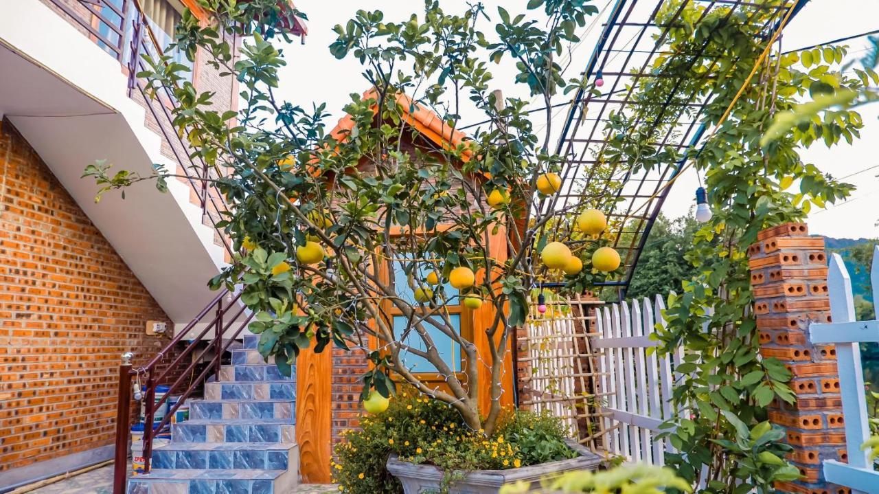 Cosiana Homestay Ниньбинь Экстерьер фото